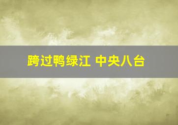 跨过鸭绿江 中央八台